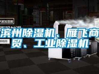 常見問題濱州除濕機、雁飛商貿(mào)、工業(yè)除濕機