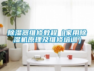 常見(jiàn)問(wèn)題除濕器維修教程（家用除濕機(jī)原理及維修培訓(xùn)）