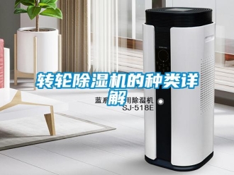 知識百科轉(zhuǎn)輪除濕機的種類詳解