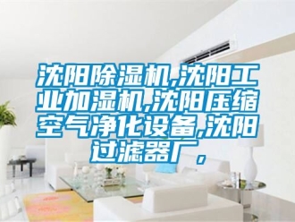 常見問(wèn)題沈陽(yáng)除濕機(jī),沈陽(yáng)工業(yè)加濕機(jī),沈陽(yáng)壓縮空氣凈化設(shè)備,沈陽(yáng)過(guò)濾器廠,