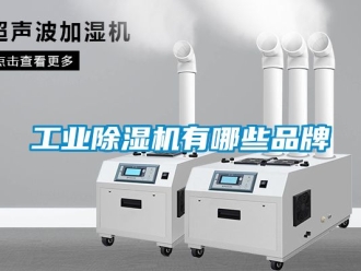 常見(jiàn)問(wèn)題工業(yè)除濕機(jī)有哪些品牌