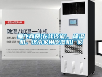 企業(yè)新聞雁飛商貿(mào)(在線咨詢)、除濕機(jī)、濟(jì)南家用除濕機(jī)廠家