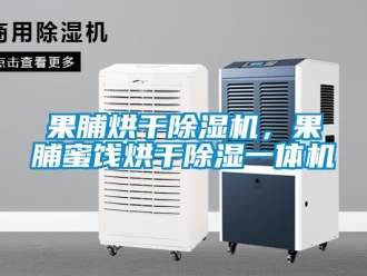 行業(yè)新聞果脯烘干除濕機(jī)，果脯蜜餞烘干除濕一體機(jī)