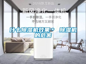 行業(yè)新聞什么除濕機(jī)效果＊ 除濕機(jī)的危害