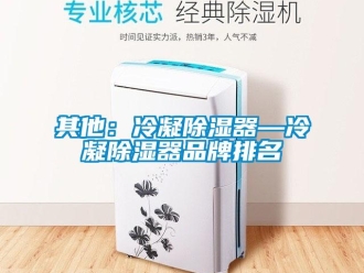 行業(yè)新聞其他：冷凝除濕器—冷凝除濕器品牌排名