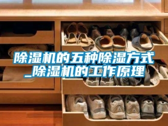 企業(yè)新聞除濕機的五種除濕方式_除濕機的工作原理