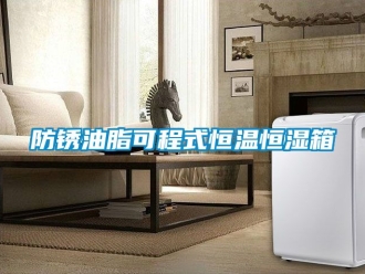 知識(shí)百科防銹油脂可程式恒溫恒濕箱