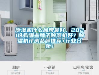 企業(yè)新聞除濕機什么品牌最好，2021選購哪些牌子除濕機好？除濕機評測品牌推薦+行業(yè)分析！