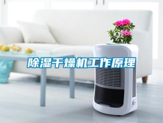 常見問題除濕干燥機(jī)工作原理
