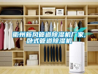 企業(yè)新聞衢州新風(fēng)管道除濕機(jī)廠家,臥式管道除濕機(jī)