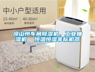 常見問題涼山州車間除濕機(jī)，工業(yè)抽濕機(jī)  恒溫恒濕非標(biāo)機(jī)器