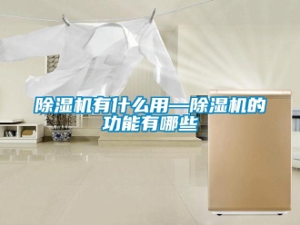 行業(yè)新聞除濕機(jī)有什么用—除濕機(jī)的功能有哪些