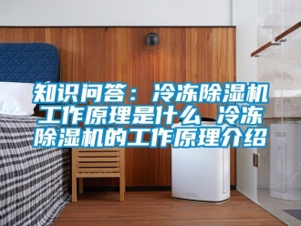 行業(yè)新聞知識(shí)問(wèn)答：冷凍除濕機(jī)工作原理是什么 冷凍除濕機(jī)的工作原理介紹