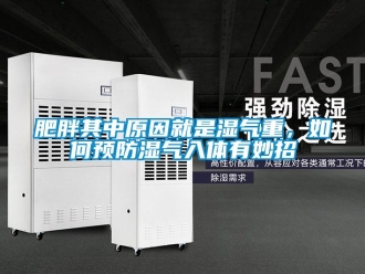 常見問題肥胖其中原因就是濕氣重，如何預(yù)防濕氣入體有妙招