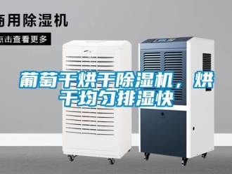 行業(yè)新聞葡萄干烘干除濕機，烘干均勻排濕快