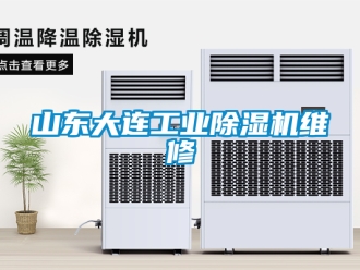常見問題山東大連工業(yè)除濕機(jī)維修