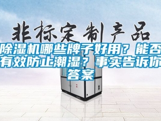 行業(yè)新聞除濕機(jī)哪些牌子好用？能否有效防止潮濕？事實(shí)告訴你答案