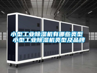 常見問題小型工業(yè)除濕機有哪些類型 小型工業(yè)除濕機類型及品牌