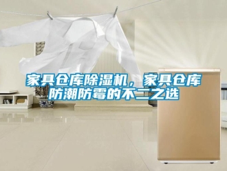 行業(yè)新聞家具倉庫除濕機(jī)，家具倉庫防潮防霉的不二之選