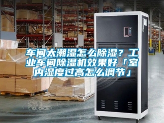 常見問題車間太潮濕怎么除濕？工業(yè)車間除濕機效果好「室內(nèi)濕度過高怎么調(diào)節(jié)」