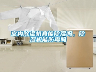 行業(yè)新聞室內除濕機真能除濕嗎，除濕機能防霉嗎