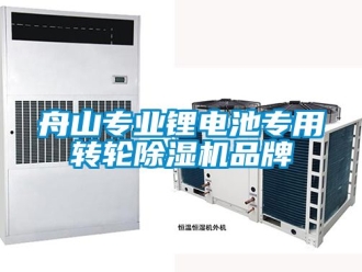 常見問題舟山專業(yè)鋰電池專用轉(zhuǎn)輪除濕機(jī)品牌