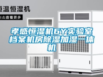 知識(shí)百科孝感恒濕機(jī)6Y實(shí)驗(yàn)室檔案機(jī)房除濕加濕一體機(jī)