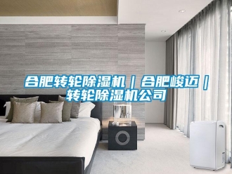 常見問題合肥轉(zhuǎn)輪除濕機｜合肥峻邁｜轉(zhuǎn)輪除濕機公司
