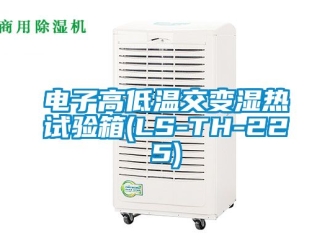 常見(jiàn)問(wèn)題電子高低溫交變濕熱試驗(yàn)箱(LS-TH-225)