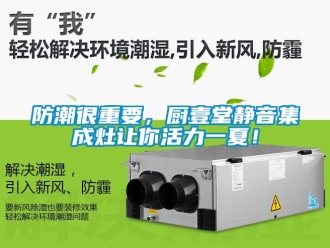 常見問題防潮很重要，廚壹堂靜音集成灶讓你活力一夏！