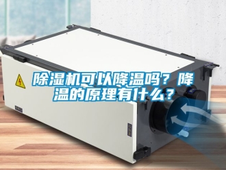 行業(yè)新聞除濕機(jī)可以降溫嗎？降溫的原理有什么？