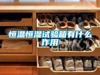 知識百科恒溫恒濕試驗(yàn)箱有什么作用