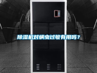 行業(yè)新聞除濕機對螨蟲過敏有用嗎？