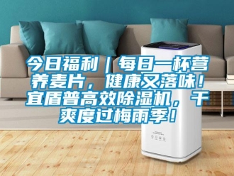 行業(yè)新聞今日福利｜每日一杯營養(yǎng)麥片，健康又落味！宜盾普高效除濕機(jī)，干爽度過梅雨季！