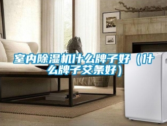 行業(yè)新聞室內除濕機什么牌子好（什么牌子艾條好）