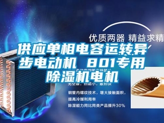 行業(yè)新聞供應(yīng)單相電容運轉(zhuǎn)異步電動機 801專用除濕機電機