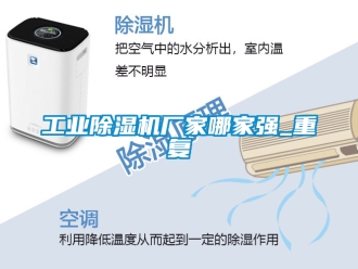企業(yè)新聞工業(yè)除濕機(jī)廠家哪家強(qiáng)_重復(fù)