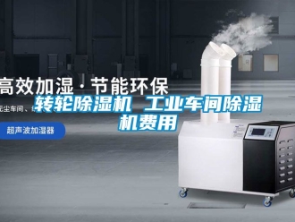 常見問題轉(zhuǎn)輪除濕機(jī) 工業(yè)車間除濕機(jī)費(fèi)用
