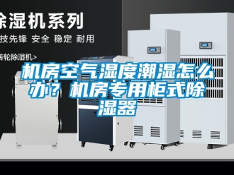 行業(yè)新聞機房空氣濕度潮濕怎么辦？機房專用柜式除濕器