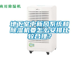 常見問題地下室中新風系統(tǒng)和除濕機要怎么安排比較合理？