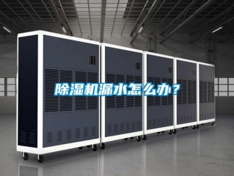 行業(yè)新聞除濕機(jī)漏水怎么辦？