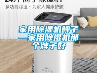 常見問題家用除濕機(jī)牌子—家用除濕機(jī)那個(gè)牌子好