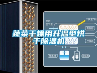 知識百科蔬菜干燥用升溫型烘干除濕機
