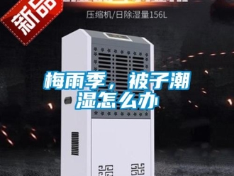 常見問題梅雨季，被子潮濕怎么辦