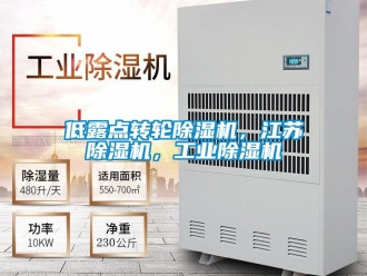 常見問題低露點(diǎn)轉(zhuǎn)輪除濕機(jī)，江蘇除濕機(jī)，工業(yè)除濕機(jī)