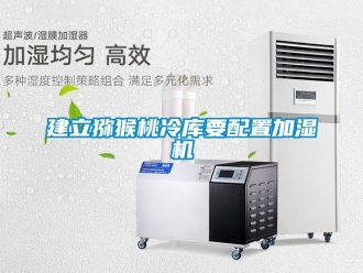 行業(yè)新聞建立獼猴桃冷庫(kù)要配置加濕機(jī)