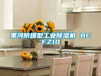 企業(yè)新聞黑河防爆型工業(yè)除濕機(jī) BCFZ10