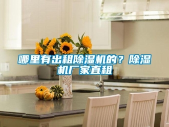 行業(yè)新聞哪里有出租除濕機的？除濕機廠家直租