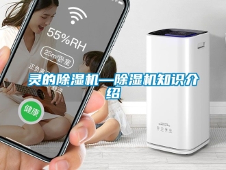 行業(yè)新聞靈的除濕機(jī)—除濕機(jī)知識(shí)介紹