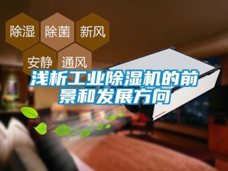 行業(yè)新聞淺析工業(yè)除濕機(jī)的前景和發(fā)展方向